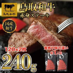 鳥取和牛 赤身ステーキ 240g（120g×2枚） KT010-001|和牛