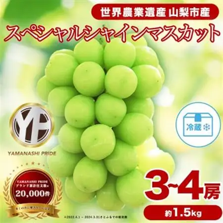 2026年発送 フルーツ王国山梨産厳選 シャインマスカット 3～4房(約1.5kg)【配送不可地域：離島】【1501767】