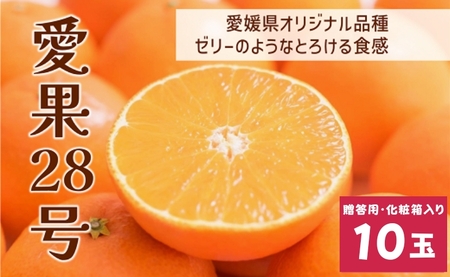 【2026年先行予約】 愛果28号 10玉入り 紅まどんな同一品種 【2026年12月以降順次発送予定】 愛媛 数量限定 愛媛県産 人気 柑橘 伊予市｜C56