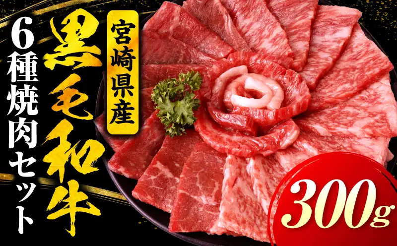 宮崎県産黒毛和牛(経産)6種焼肉セット 300g_b0749_my_x2