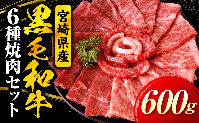宮崎県産黒毛和牛(経産)6種焼肉セット 600g