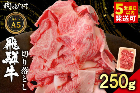  飛騨牛 切り落とし 250g A5 A4 国産 牛 黒毛和牛 和牛 牛肉 薄切り 訳あり 牛丼 すき焼き しゃぶしゃぶ 肉のひぐち