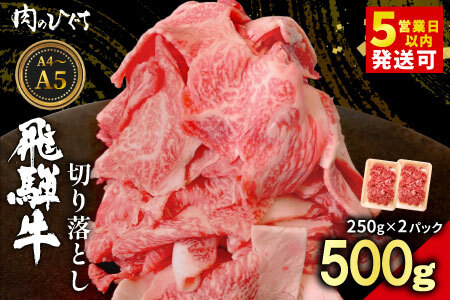 飛騨牛 切り落とし 500g（250g×2P） A5 A4 国産 牛 黒毛和牛 和牛 牛肉 薄切り 訳あり 牛丼 すき焼き しゃぶしゃぶ 肉のひぐち