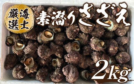 【先行予約】素潜りさざえ 2kg ※2026年7月上旬順次発送｜  北陸 厳選 さざえ [B-018006]