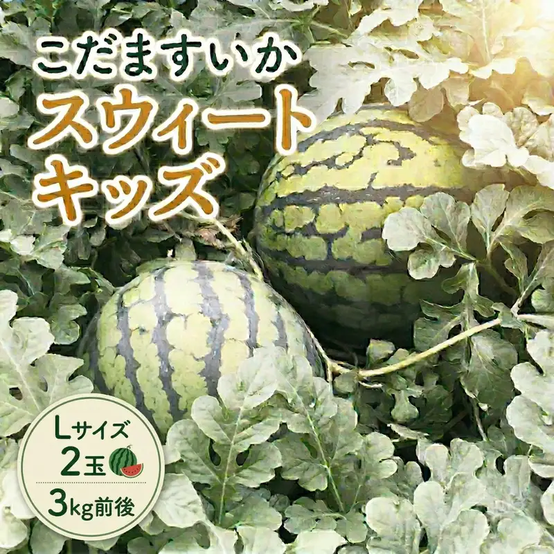 【 地下水100％栽培 】 こだますいか 「 スウィートキッズ 」 2玉入り 先行予約 スウィートキッズ すいか スイカ 小玉スイカ こだまスイカ 西瓜 フルーツ 果物