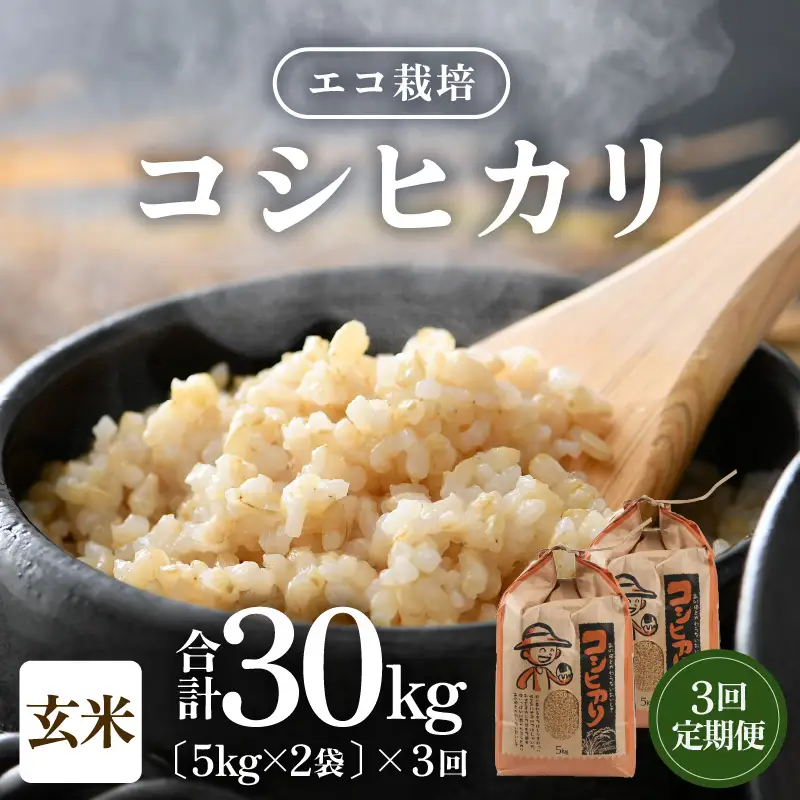 【先行予約】【令和8年産 新米】《定期便3回》エコ栽培コシヒカリ 玄米10kg（5kg×2袋）計30kg ／ 鮮度抜群 福井県産 こしひかり ご飯 新鮮 玄米 ※2026年10月上旬以降順次発送 [aw063-f004]