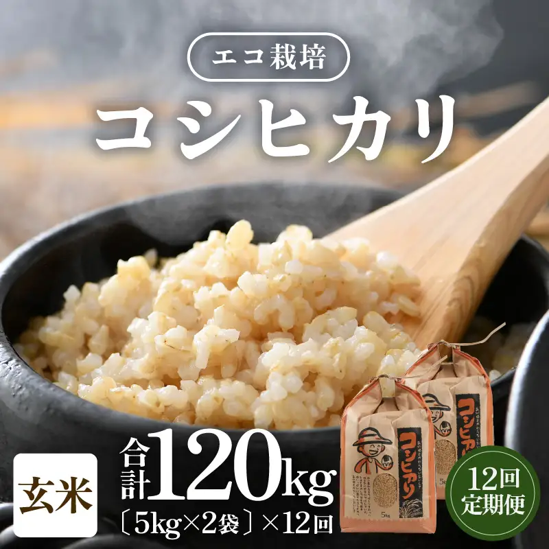 【先行予約】【令和8年産 新米】《定期便12回》エコ栽培コシヒカリ 玄米10kg（5kg×2袋）計120kg ／ 鮮度抜群 福井県産 こしひかり ご飯 新鮮 玄米 ※2026年10月上旬以降順次発送 [aw063-o007]