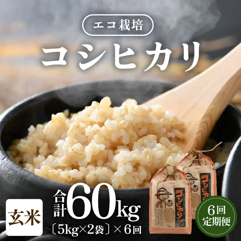 【先行予約】【令和8年産 新米】《定期便6回》エコ栽培コシヒカリ 玄米10kg（5kg×2袋）計60kg ／ 鮮度抜群 福井県産 こしひかり ご飯 新鮮 玄米 ※2026年10月上旬以降順次発送 [aw063-k004]