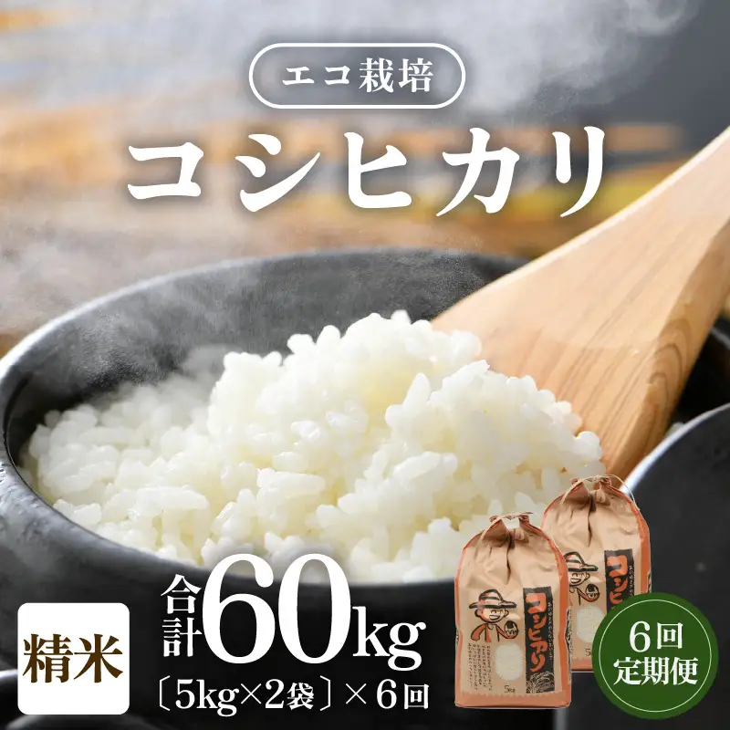 【先行予約】【令和8年産 新米】《定期便6回》エコ栽培コシヒカリ 白米10kg（5kg×2袋）計60kg ／ 鮮度抜群 福井県産 こしひかり ご飯 新鮮 白米 ※2026年10月上旬以降順次発送 [aw063-k006]