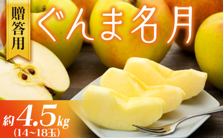 りんご ぐんま名月 4.5kg 14～18玉 贈答用 果物 くだもの フルーツ 林檎 リンゴ ぐんま名月りんご 信州りんご 旬の果物 旬のフルーツ ギフト 贈り物 プレゼント 長野 長野県 箕輪町