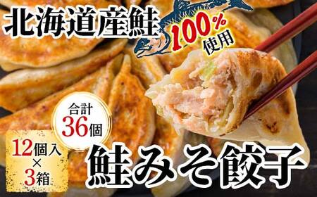 千歳市の高校と天のびろくがコラボ！さけみそ餃子 3箱セット 北海道産 餃子 さけみそ 鮭 味噌 惣菜 冷凍 おかず ごはんのお供 国産 高校コラボ グルメ お取り寄せ ギフト F6S-765