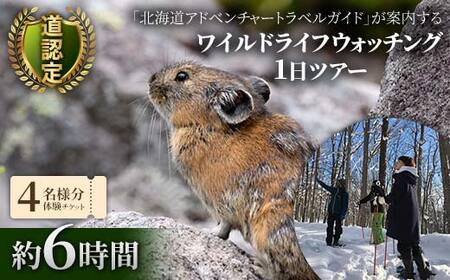 道認定「北海道アドベンチャートラベルガイド」が案内するワイルドライフウォッチング1日ツアー 【4名様分体験チケット】 約6時間 F6S-046