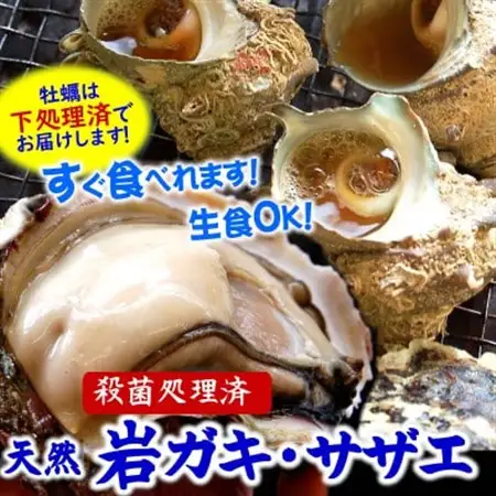 山陰の岩ガキ・サザエ詰合(大きさにより各6～10個)牡蠣は殺菌済　下処理済　生食OK　さざえ砂抜き済【配送不可地域：離島・北海道・沖縄県・東北・関東・九州】【1114073】