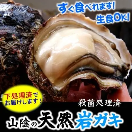 山陰の天然岩ガキ詰合せ(大きさにより5～7個入)　牡蠣は殺菌済　下処理済　生食OK　バーベキュー【配送不可地域：離島・北海道・沖縄県・東北】【1114074】