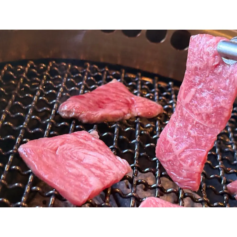 鳥取黒毛和牛もも焼肉用(計760g)