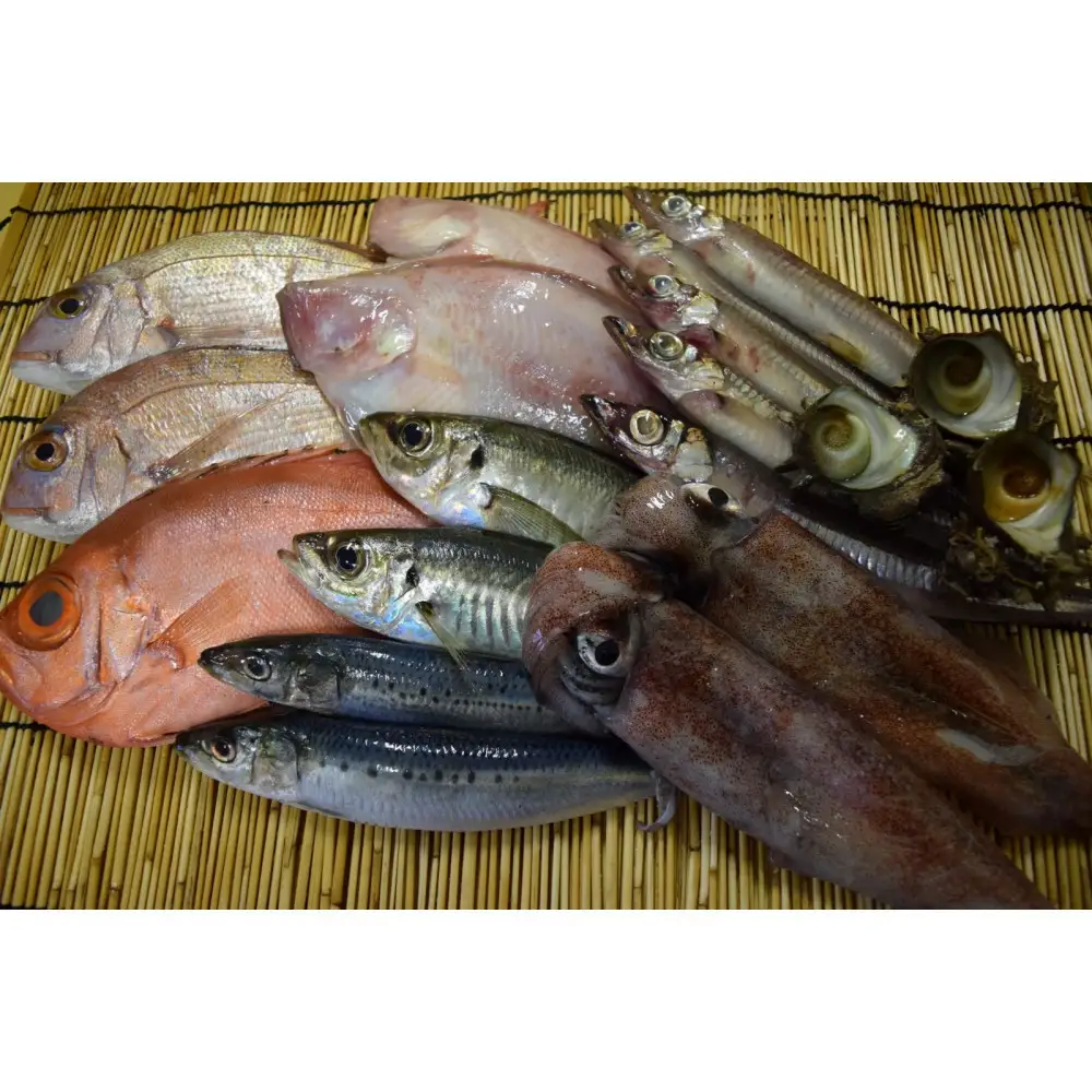 ＜平日着＞＜7～8月・年末年始配送不可＞おすすめ鮮魚詰め合わせ(4～5種類)