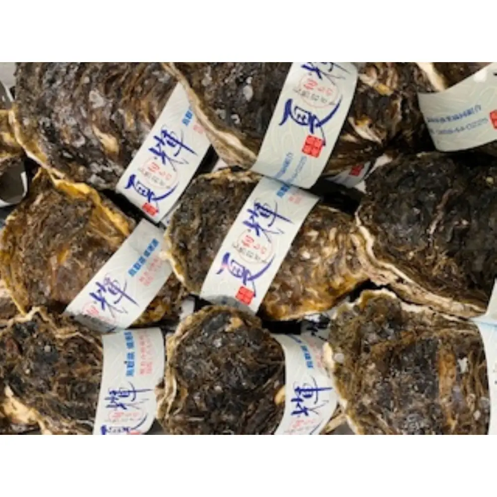 ＜土日祝着＞＜6月中旬～7月上旬頃順次配送＞今が旬！天然岩牡蠣(5～6個)