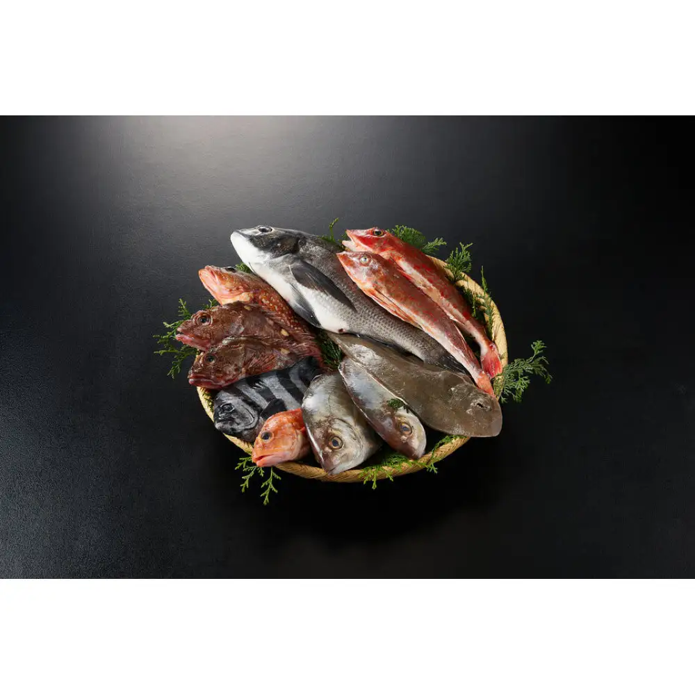 ＜金～日着※指定日不可＞＜期間限定＞＜4月上旬～10月末頃発送予定＞朝獲れ鮮魚ボックス「美保湾の恵み」(計2.5kg以上)