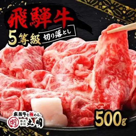 【訳あり】飛騨牛5等級　切り落とし用途いろいろ　500g【配送不可地域：離島】【1034745】