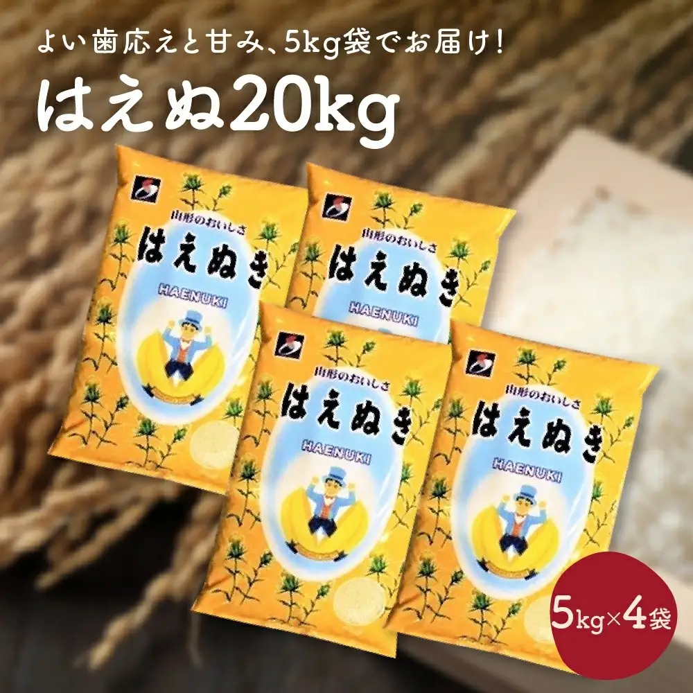 令和７年産 はえぬき２０ｋｇ（５ｋｇ×４袋）　0059-2508