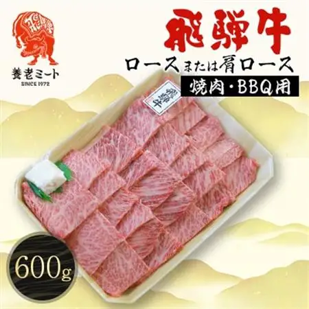 飛騨牛ロースまたは肩ロース600g (焼肉・BBQ用)【配送不可地域：離島】【1042664】