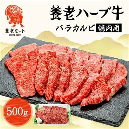 養老ハーブ牛　バラカルビ　焼肉用　500g【配送不可地域：離島】【1273628】