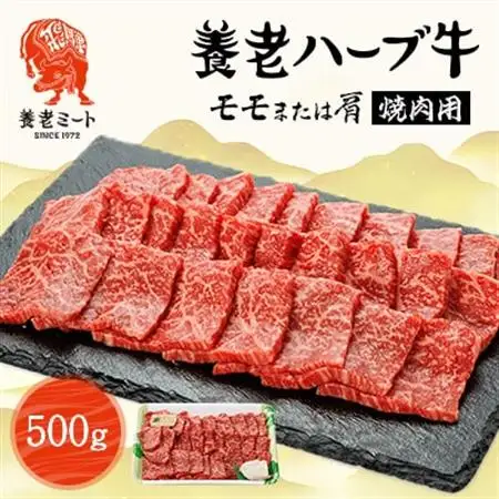 養老ハーブ牛　モモまたは肩　焼肉用　500g【配送不可地域：離島】【1273630】