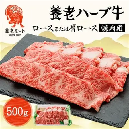 養老ハーブ牛　ロースまたは肩ロース　焼肉用　500g【配送不可地域：離島】【1273633】