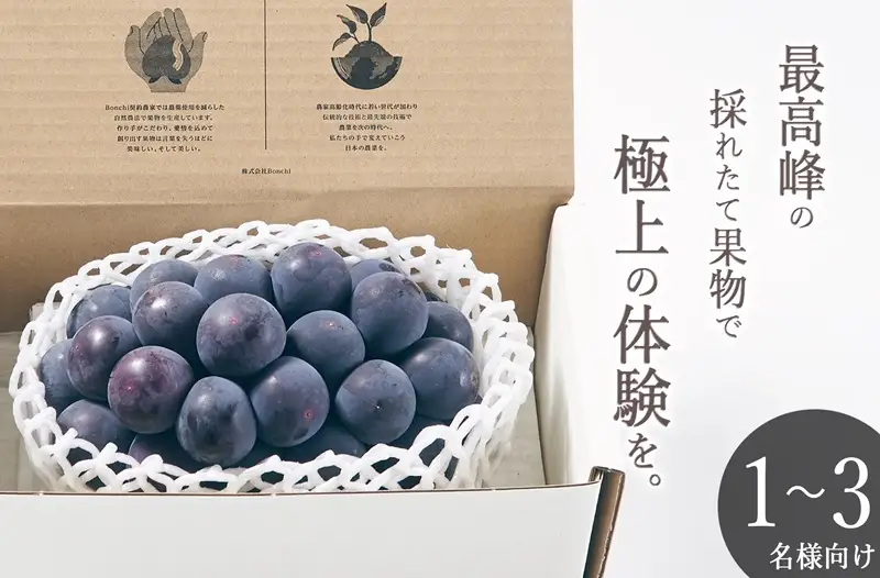 甲州市産 種無し大粒巨峰 1房入り 約500g 自然農法【2026年発送】（BNC）B12-485 巨峰 フルーツ