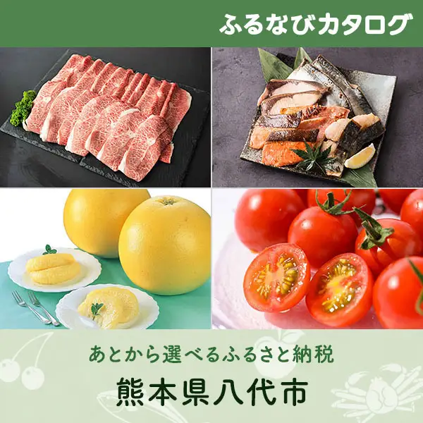 【有効期限なし！後からゆっくり特産品を選べる】熊本県八代市カタログポイント