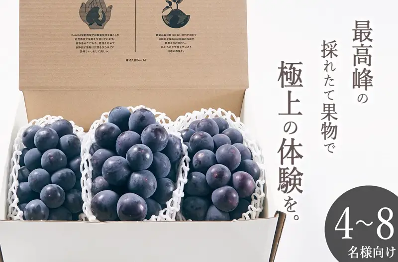 甲州市産 種無し大粒巨峰 3房入り 約1.5kg 自然農法【2026年発送】（BNC）D5-111 ぶどう フルーツ