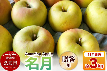 【26年11月下旬発送】りんご 名月【贈答用】約3kg