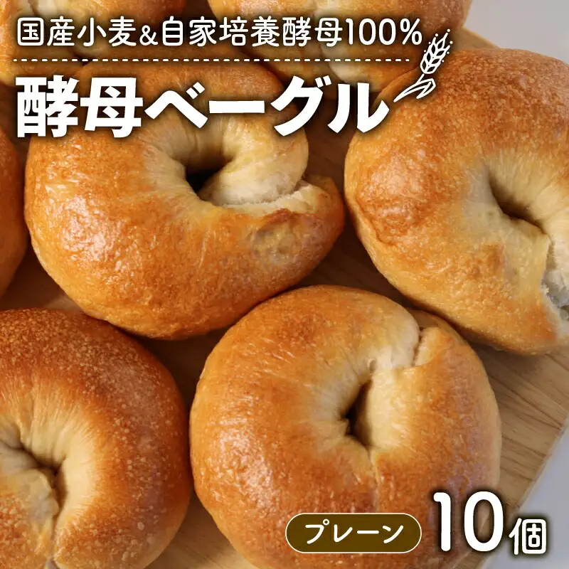 酵母ベーグル 10個 プレーン 京都
