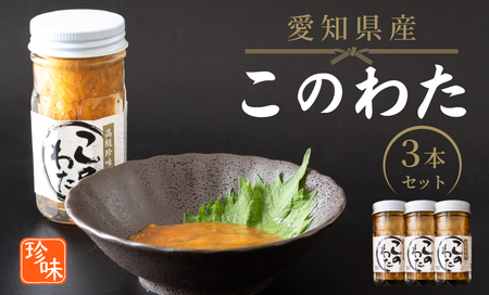 このわた 240g ( 80g × 3本 ) ナマコ 塩辛 珍味 海の幸 海鮮 魚介 瓶 ご飯 ごはん つまみ おかず 酒 冷凍 愛知県 南知多町 人気 おすすめ 【離島不可】
