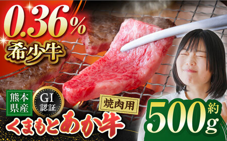 GI認証 くまもとあか牛 焼肉用 約500ｇ【山鹿市（桜屋）】[ZBO055]