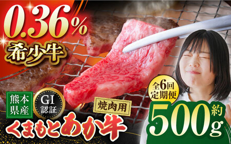 【6回定期便】GI認証 くまもとあか牛 焼肉用 約500ｇ【山鹿市（桜屋）】[ZBO063]