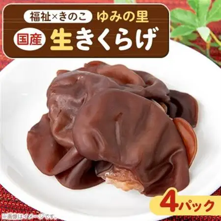 【農福連携】千葉県館山産 生きくらげ100g×4パック 就労継続支援A/B型併用事業所「ゆみの里」【配送不可地域：離島】【1486711】