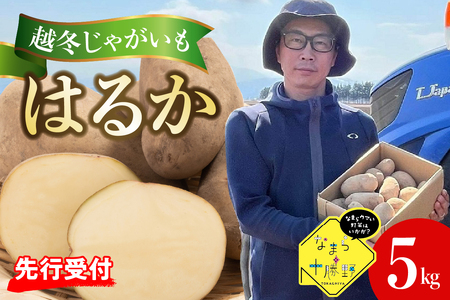 【先行受付】【2026年4月より順次発送】北海道十勝芽室町　なまら十勝野　越冬じゃがいも　はるか　5kg　芋 ジャガイモ ポテト イモ いも 産地直送 新鮮 野菜 常温配送 送料無料 北海道 十勝 芽室町me001-028c
