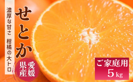 【2027年先行予約】せとか バラ詰め 約5kg【2027年2月上旬より順次出荷予定】 愛媛 数量限定 愛媛県産 人気 柑橘 伊予市｜C55