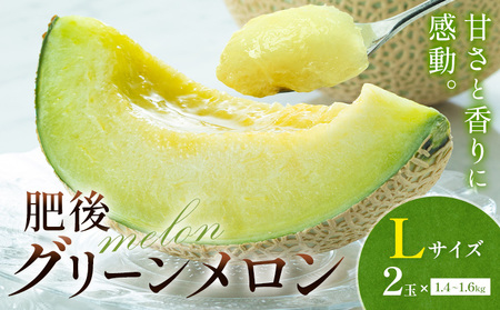 メロン 肥後グリーンメロン 中 Lサイズ 2玉 約1.4～1.6kg×2 MOTOYAMA358FARM 《2026年5月下旬-6月下旬頃出荷》 熊本県 菊池市 メロン 果物 フルーツ 九州産 国産 送料無料