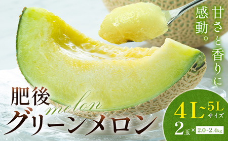 メロン 肥後グリーンメロン 特大 4L ～ 5L サイズ 2玉 約2～2.4kg×2 MOTOYAMA358FARM 《2026年5月下旬-6月下旬頃出荷》 熊本県 菊池市 メロン 果物 フルーツ 九州産 国産 送料無料