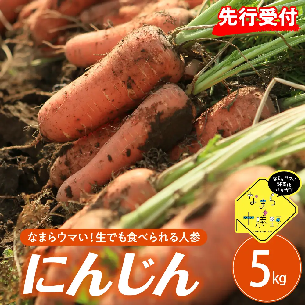【先行受付】【10月上旬より発送】北海道十勝芽室町 なまら十勝野 芽室町産にんじん５㎏　なまら十勝野 芽室町産 にんじん 5kg 産地直送 新鮮 野菜 北海道 十勝 芽室町me001-030c
