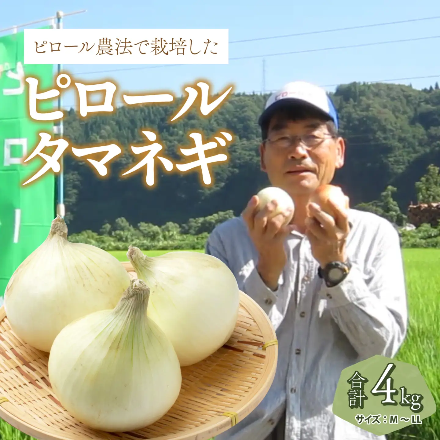 【令和8年産】【ピロールタマネギ】ピロール農法で栽培したタマネギ４kg