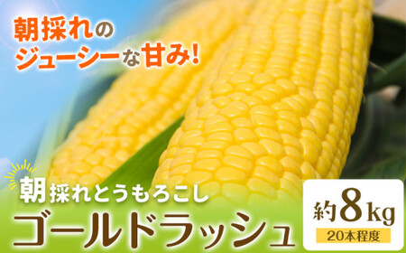 【先行予約】とうもろこし約8kg老沼利治《6月中旬-7月中旬頃出荷》ゴールドラッシュ