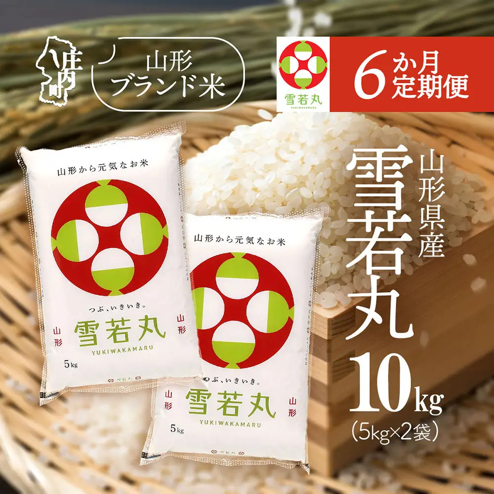 【6か月定期便】特A 山形米 雪若丸 10kg 毎月 5kg×2袋 令和7年産 / 令和8年産 ブランド米 米 山形 庄内平野 定期【7月中旬発送/入金期限：2026年6月25日】
