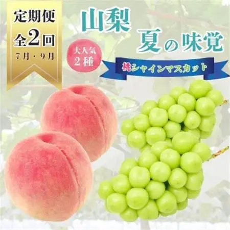 【発送月固定定期便】山梨夏の味覚定期便〈桃 約2kg/シャインマスカット 1.1kg以上〉全2回【配送不可地域：離島】【4050317】