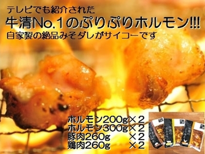 1519　自家製 みそダレ Pセット　　牛ホルモン 200g 300ｇ×各２ 豚肉 ×２ 鶏肉 ×２/ 黒毛和牛ホルモン 牛清 バーベキュー キャンプ 牛肉 ぶた肉 とり肉 特製 味噌漬 味付 伊勢志摩
