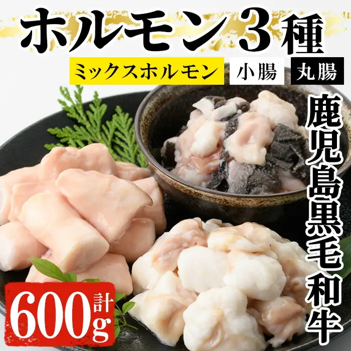 黒毛和牛ホルモン3種盛合わせ(小腸:200g 丸腸:200g ミックスホルモン:200g)【00-030-05】