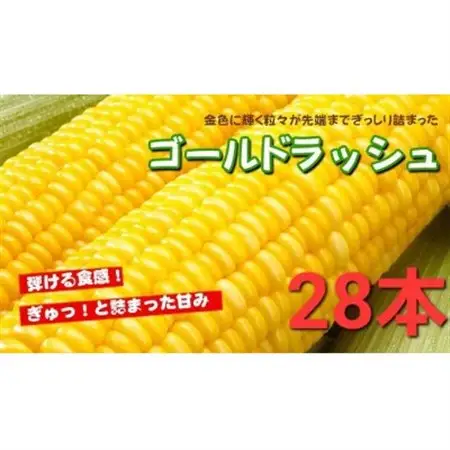 【28本】朝採れ!新鮮とうもろこし「ゴールドラッシュ」【配送不可地域：離島・北海道・沖縄県・信越、北陸・東海・近畿・中国・四国・九州】【1487435】