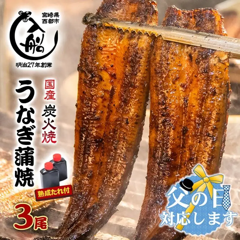 【父の日ギフト】うなぎうなぎ 蒲焼 3尾 炭火焼 無頭 炭火の香ばさ際立つ老舗 「うなぎの入船」熟成たれ付 国産 宮崎 蒲焼 鰻 宮崎 かば焼 鰻 ＜13-3a＞